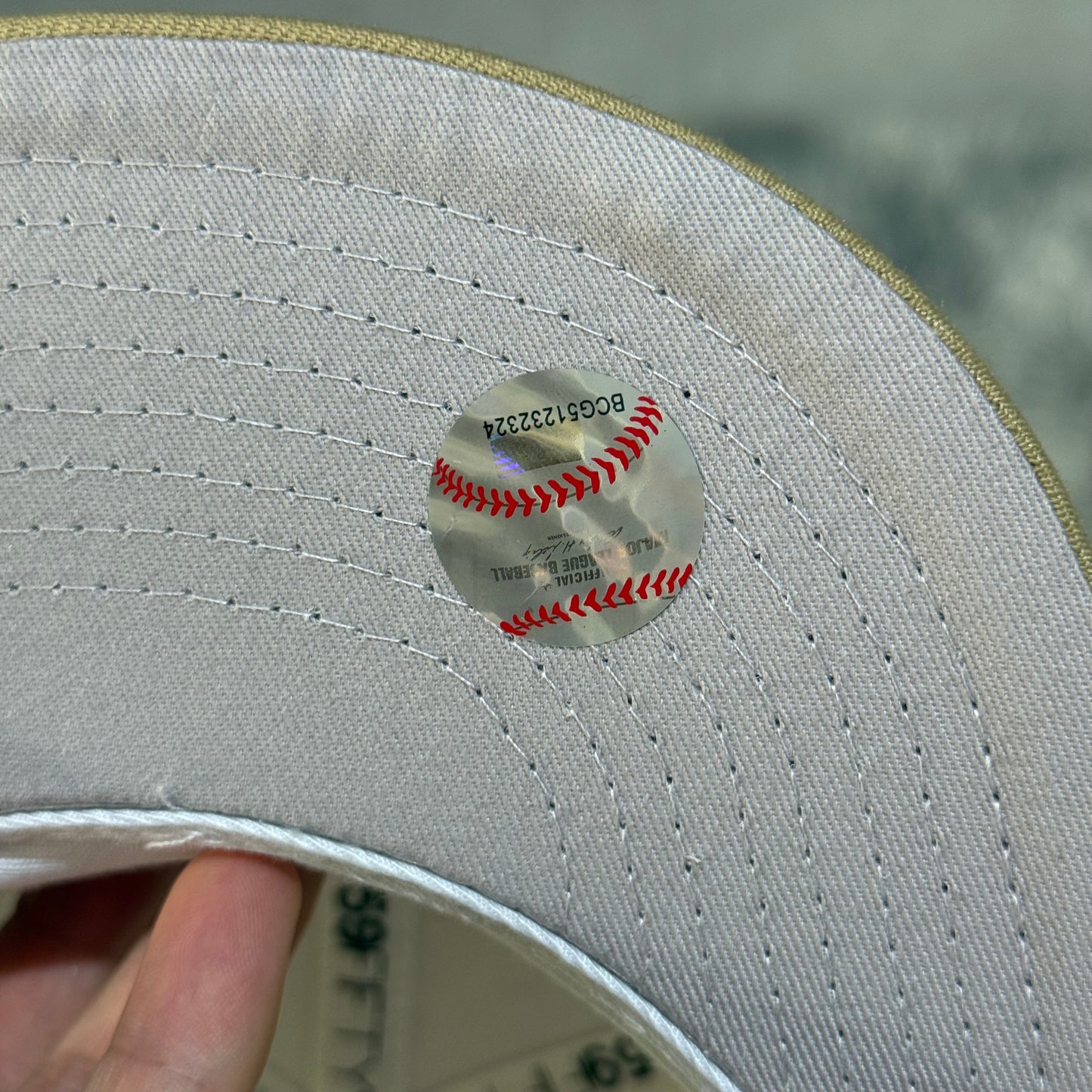 DIAMONDBACKS ARIZONA